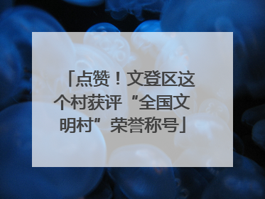 点赞！文登区这个村获评“全国文明村”荣誉称号
