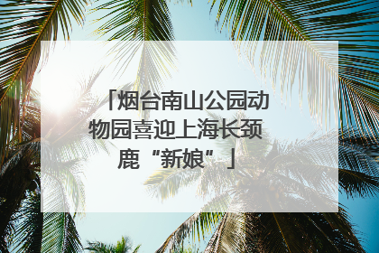 烟台南山公园动物园喜迎上海长颈鹿“新娘”