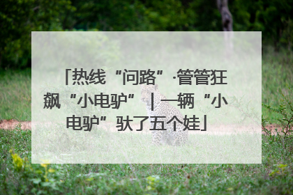 热线“问路”·管管狂飙“小电驴”｜一辆“小电驴”驮了五个娃