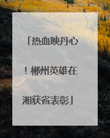 热血映丹心！郴州英雄在湘获省表彰