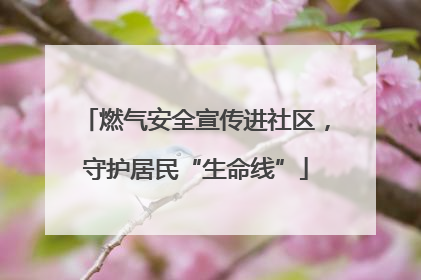 燃气安全宣传进社区，守护居民“生命线”