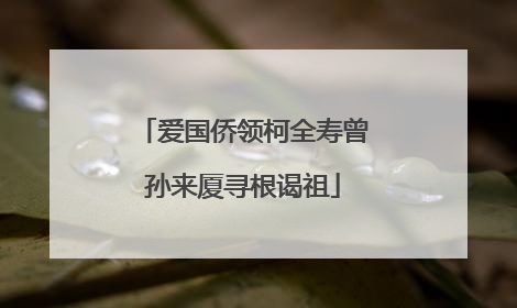 爱国侨领柯全寿曾孙来厦寻根谒祖