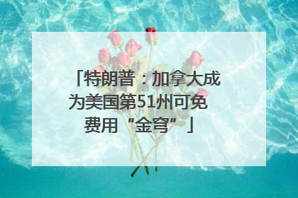 特朗普：加拿大成为美国第51州可免费用“金穹”
