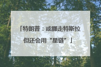 特朗普：或挪走特斯拉 但还会用“星链”