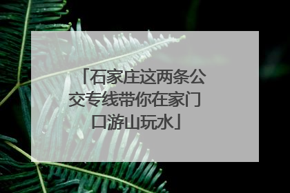石家庄这两条公交专线带你在家门口游山玩水