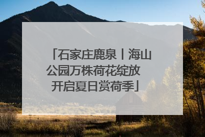 石家庄鹿泉丨海山公园万株荷花绽放 开启夏日赏荷季