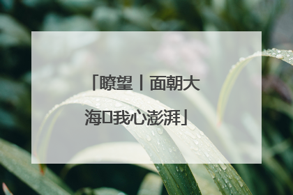 瞭望丨面朝大海 我心澎湃
