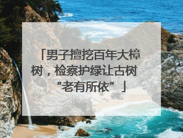 男子擅挖百年大樟树，检察护绿让古树“老有所依”