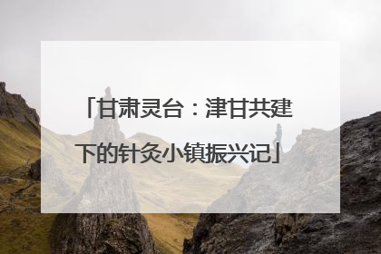 甘肃灵台：津甘共建下的针灸小镇振兴记