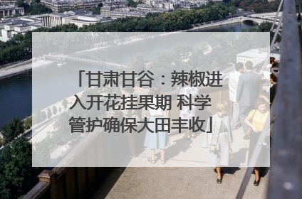 甘肃甘谷：辣椒进入开花挂果期 科学管护确保大田丰收