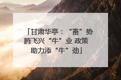甘肃华亭：“畜”势腾飞兴“牛”业 政策助力添“牛”劲