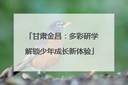 甘肃金昌：多彩研学解锁少年成长新体验