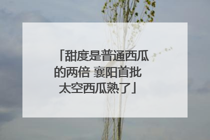 甜度是普通西瓜的两倍 襄阳首批太空西瓜熟了