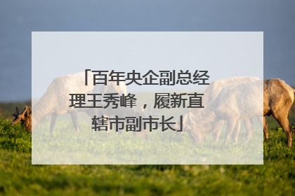 百年央企副总经理王秀峰，履新直辖市副市长