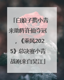 白娘子携小青来助阵许仙夺冠，《乘风2025》总决赛小青战袍来自吴江