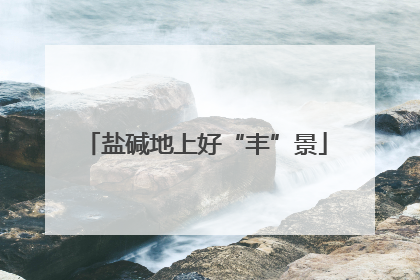 盐碱地上好“丰”景