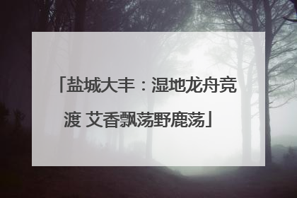 盐城大丰：湿地龙舟竞渡 艾香飘荡野鹿荡