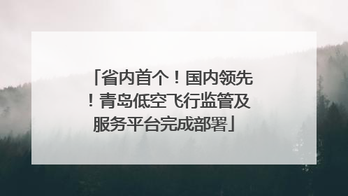 省内首个！国内领先！青岛低空飞行监管及服务平台完成部署