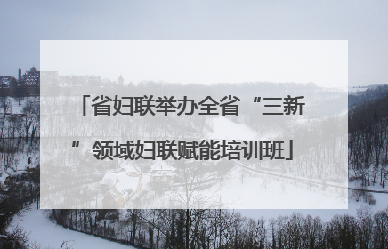 省妇联举办全省“三新”领域妇联赋能培训班