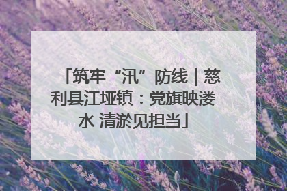 筑牢“汛”防线｜慈利县江垭镇：党旗映溇水 清淤见担当