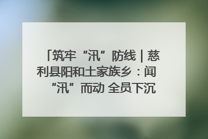 筑牢“汛”防线｜慈利县阳和土家族乡：闻“汛”而动 全员下沉筑牢防汛“安全堤”