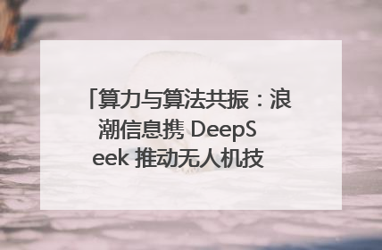 算力与算法共振：浪潮信息携 DeepSeek 推动无人机技术在舟山落地