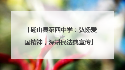 砀山县第四中学：弘扬爱国精神，深耕民法典宣传