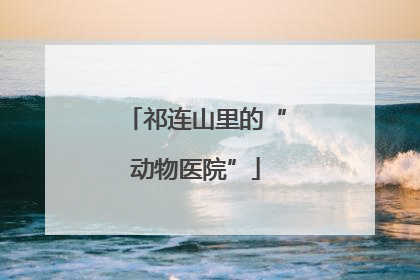 祁连山里的“动物医院”