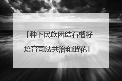 种下民族团结石榴籽 培育司法共治和谐花