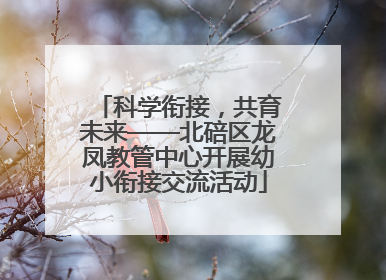 科学衔接，共育未来——北碚区龙凤教管中心开展幼小衔接交流活动