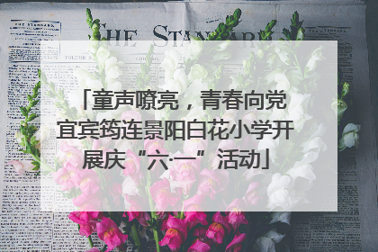 童声嘹亮，青春向党 宜宾筠连景阳白花小学开展庆“六·一”活动