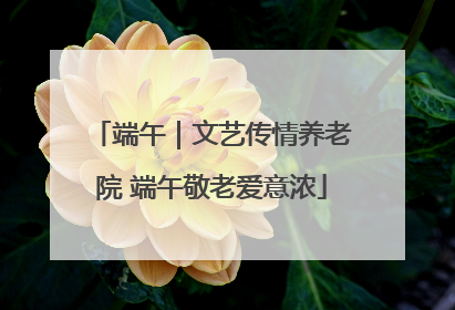 端午｜文艺传情养老院 端午敬老爱意浓