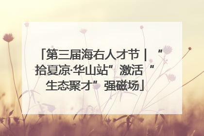第三届海右人才节｜“拾夏凉·华山站”激活“生态聚才”强磁场