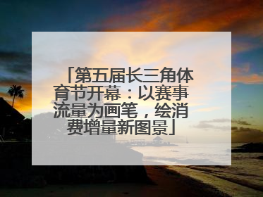 第五届长三角体育节开幕：以赛事流量为画笔，绘消费增量新图景