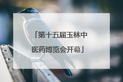 第十五届玉林中医药博览会开幕