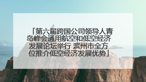第六届跨国公司领导人青岛峰会通用航空和低空经济发展论坛举行 滨州市全方位推介低空经济发展优势