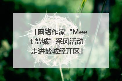 网络作家“Meet 盐城”采风活动走进盐城经开区
