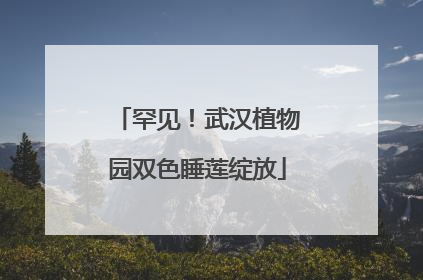 罕见！武汉植物园双色睡莲绽放