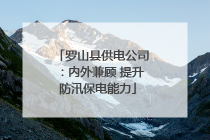 罗山县供电公司：内外兼顾 提升防汛保电能力
