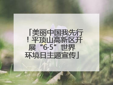 美丽中国我先行！平顶山高新区开展“6·5”世界环境日主题宣传