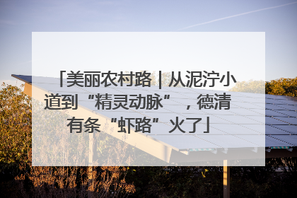美丽农村路｜从泥泞小道到“精灵动脉”，德清有条“虾路”火了
