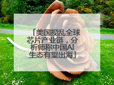 美国搅乱全球芯片产业链，分析师称中国AI生态有望出海