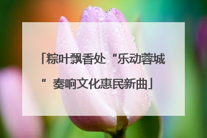 粽叶飘香处“乐动蓉城”奏响文化惠民新曲