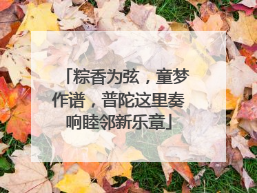 粽香为弦，童梦作谱，普陀这里奏响睦邻新乐章