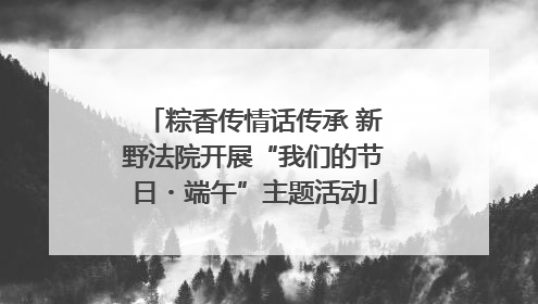 粽香传情话传承 新野法院开展“我们的节日・端午”主题活动