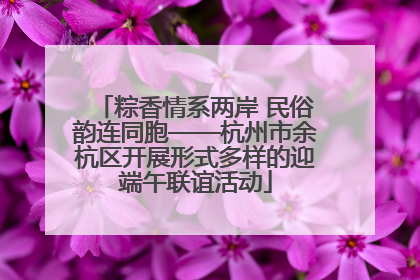 粽香情系两岸 民俗韵连同胞——杭州市余杭区开展形式多样的迎端午联谊活动