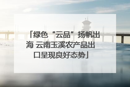 绿色“云品”扬帆出海 云南玉溪农产品出口呈现良好态势