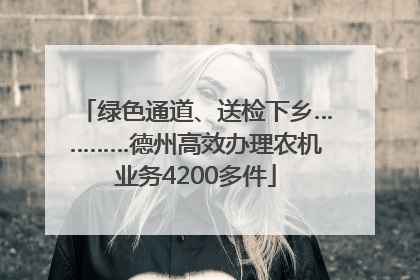 绿色通道、送检下乡…………德州高效办理农机业务4200多件