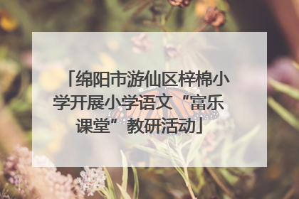 绵阳市游仙区梓棉小学开展小学语文“富乐课堂”教研活动