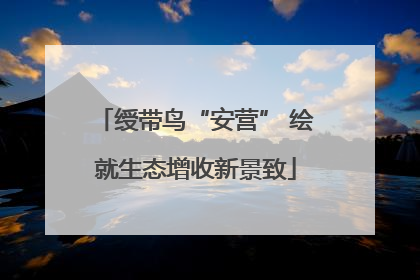 绶带鸟“安营” 绘就生态增收新景致